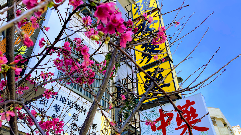 復安中藥房