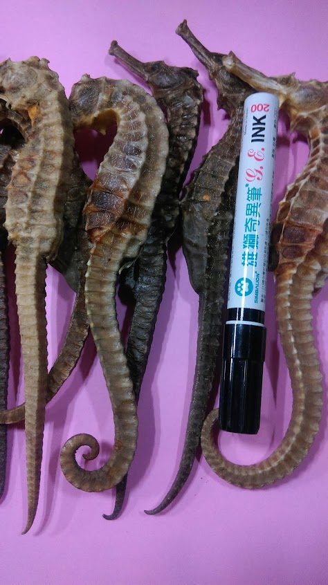 合成藥行
