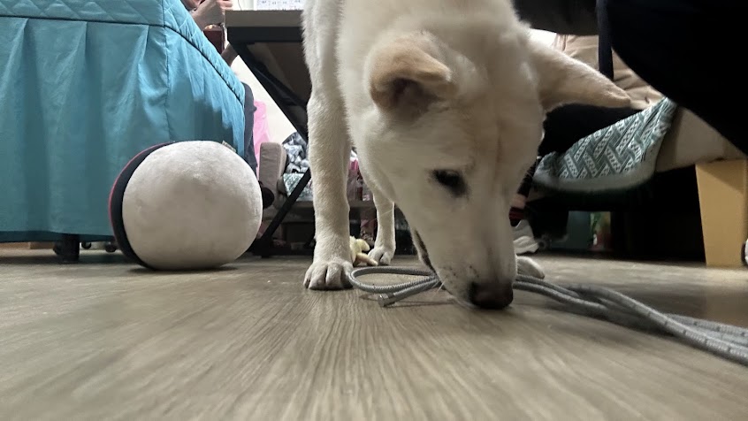 王老師氣功經絡館