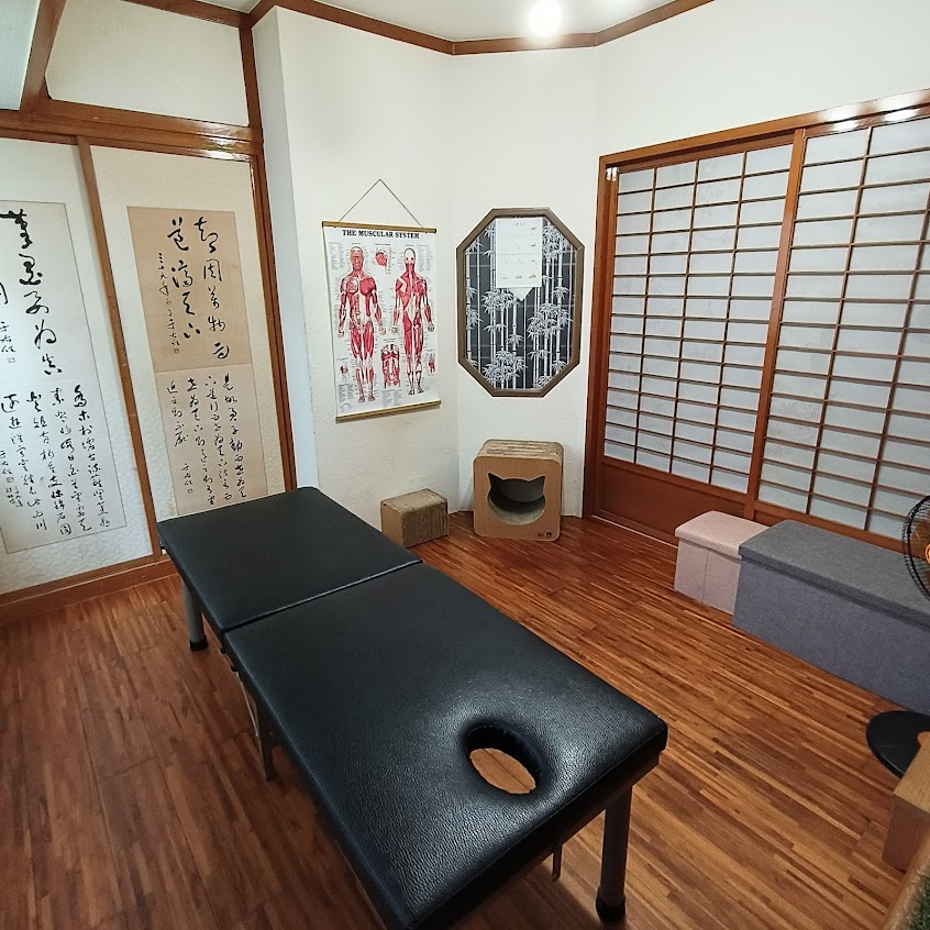 平心堂《傳統整復推拿》