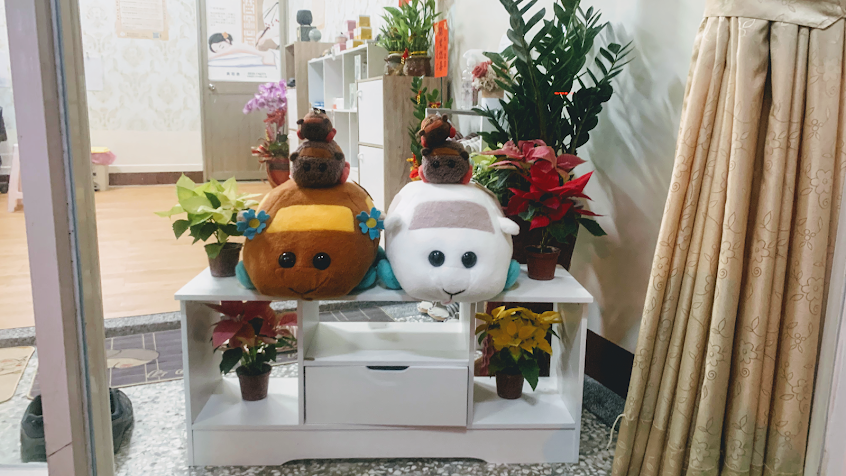 Na Hui 澎湖深度經絡調理牛角撥經