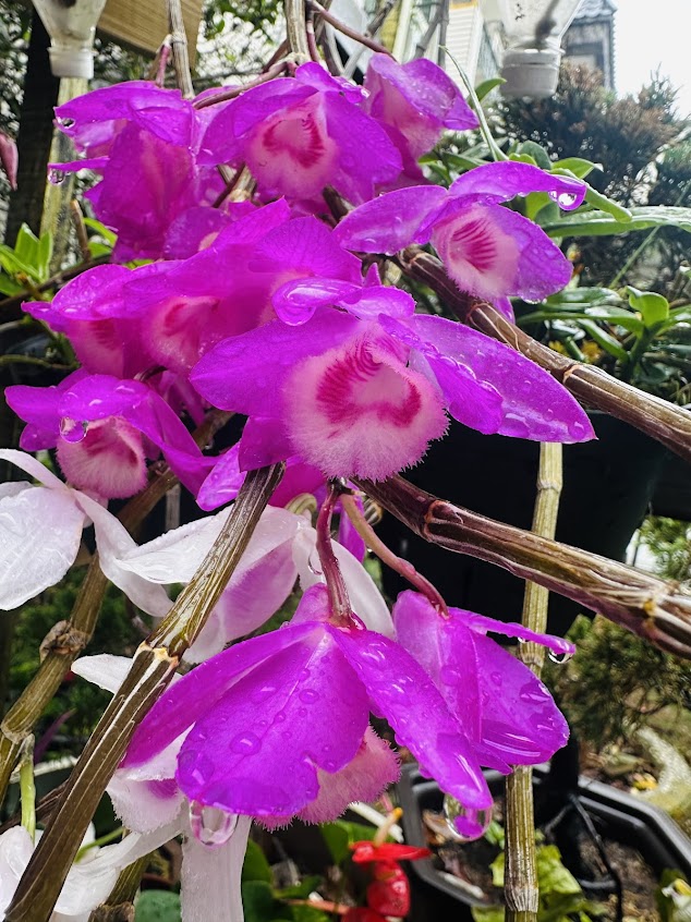 舒活鬆筋生活館