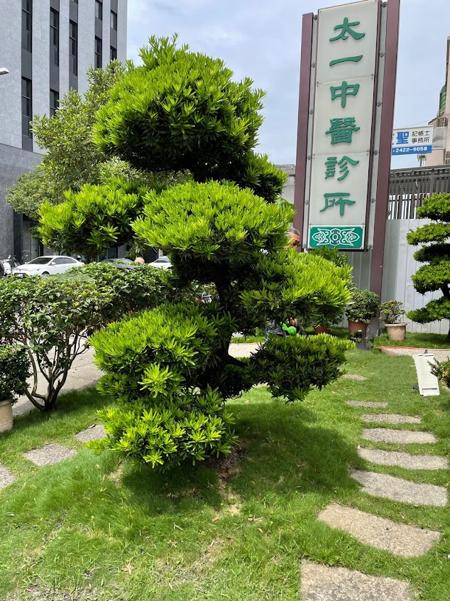 太一中醫診所