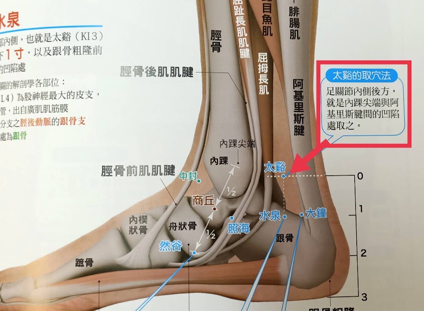 彰化市-馬沙吉「マッサージ」民俗調理傳統整復推拿按摩養生館