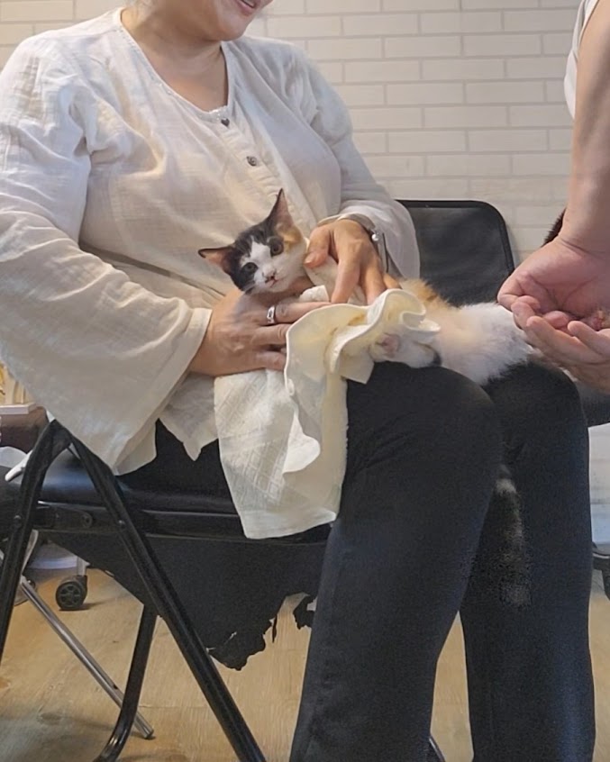 百老匯傳統整復推拿 預約加賴 孕婦舒壓調理 紓壓睡眠 骨盆調理 全身不舒服