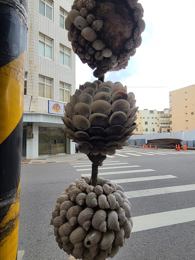 坪和損傷接骨