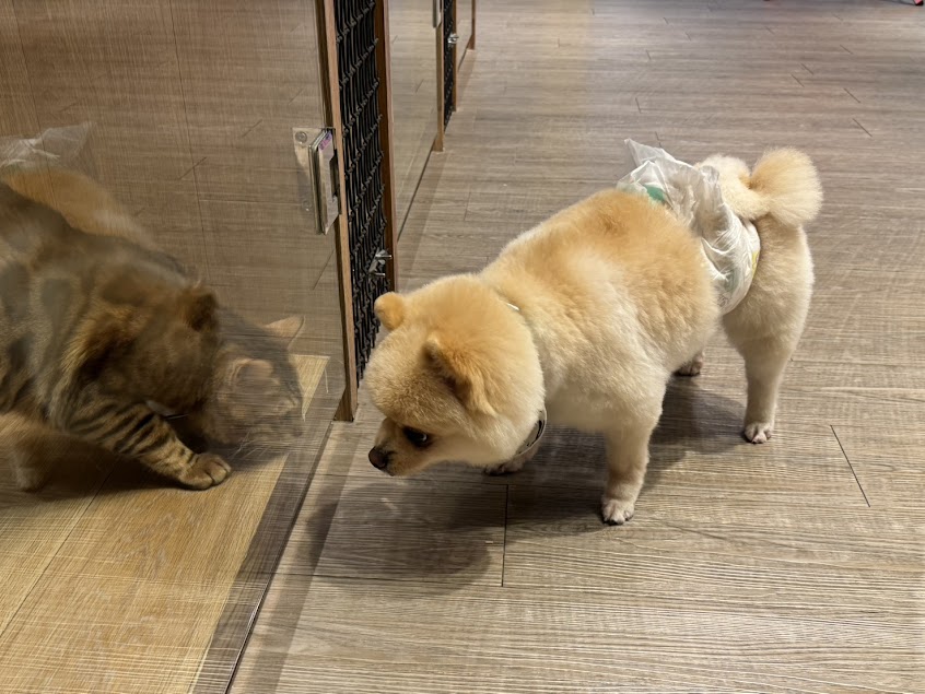 明仁堂傳統整復養生國術館
