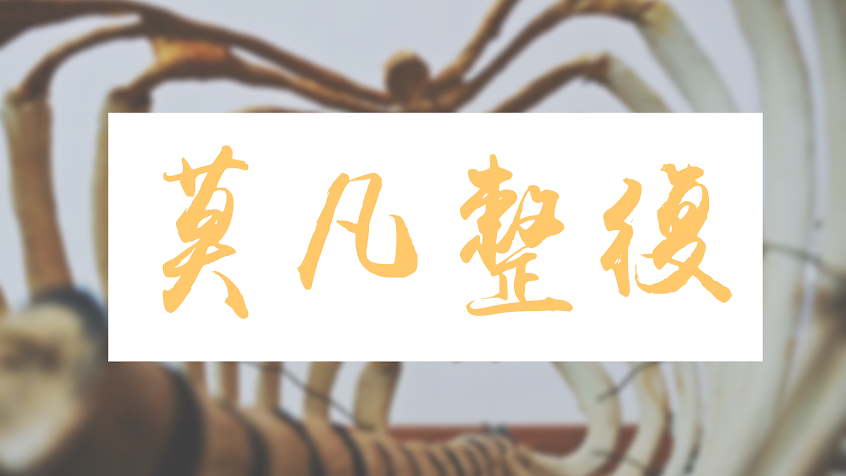 莫凡傳統整復推拿